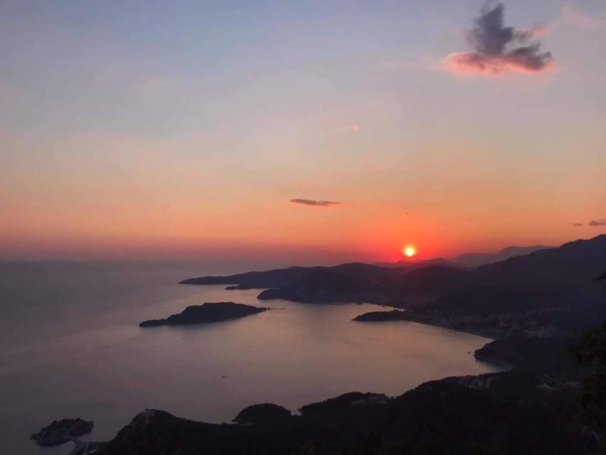 Mijovic Apartments Budva Dış mekan fotoğraf