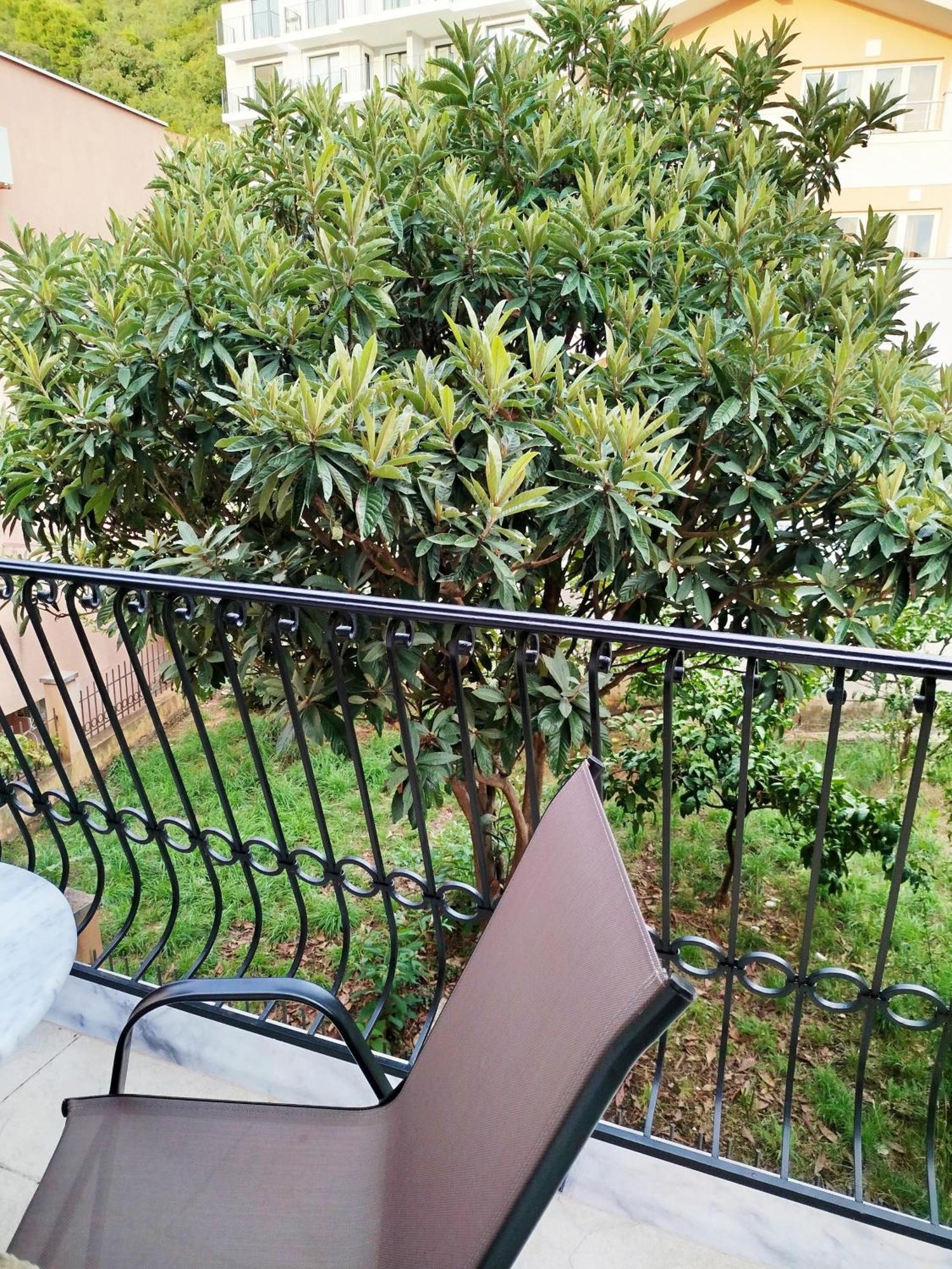 Mijovic Apartments Budva Dış mekan fotoğraf