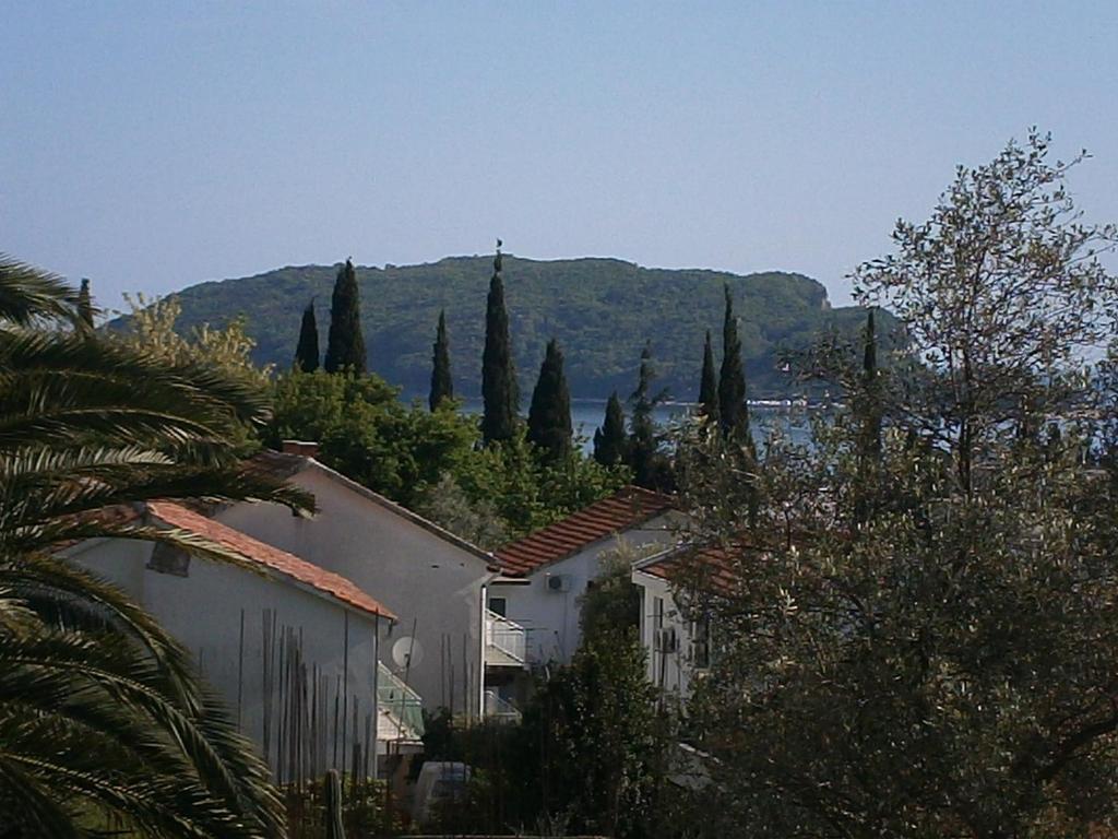 Mijovic Apartments Budva Oda fotoğraf